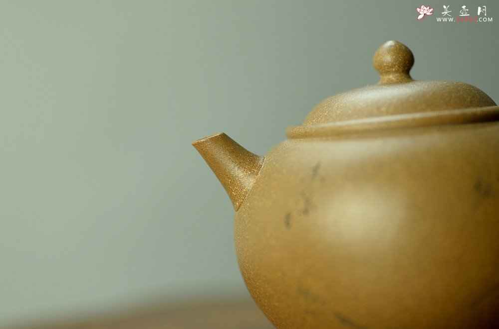 紫砂壶图片：陈进作品  圆润饱满 实用有趣 全手圆珠 - 宜兴紫砂壶网