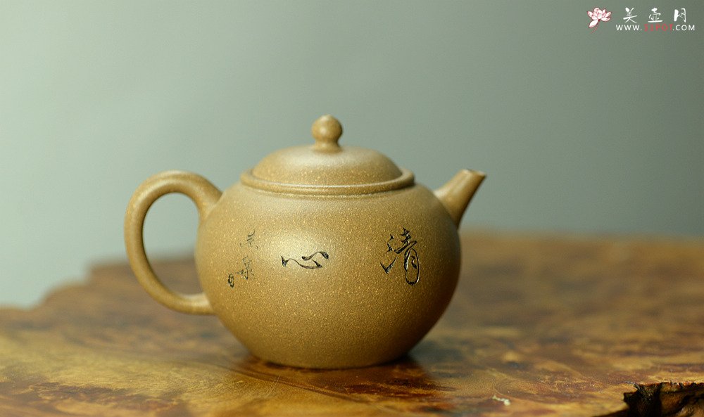 紫砂壶图片：陈进作品  圆润饱满 实用有趣 全手圆珠 - 宜兴紫砂壶网