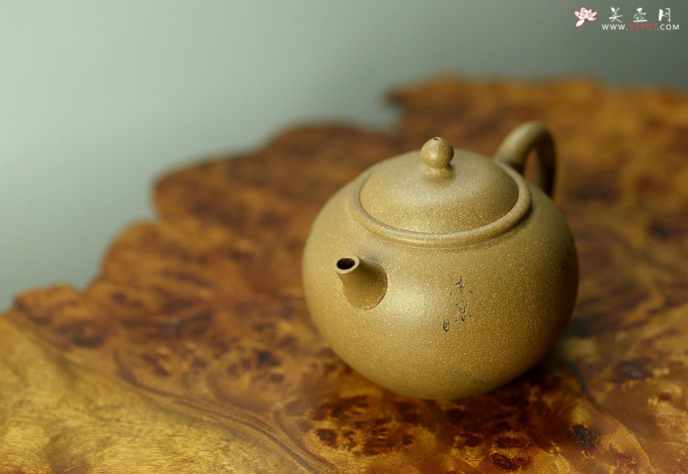 紫砂壶图片：陈进作品  圆润饱满 实用有趣 全手圆珠 - 宜兴紫砂壶网