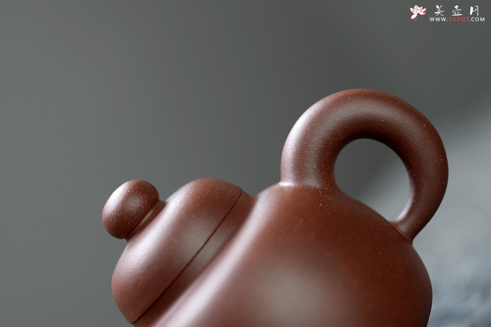 紫砂壶图片：道洪风格之全手【敦】 潜力股蒋柯作品 珠圆玉润  - 宜兴紫砂壶网