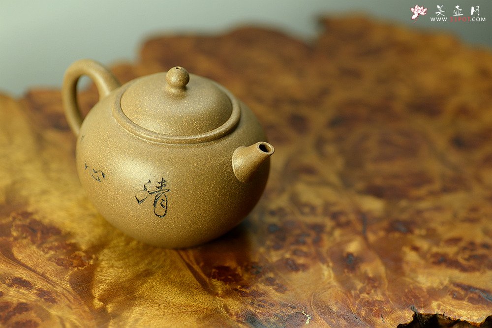 紫砂壶图片：陈进作品  圆润饱满 实用有趣 全手圆珠 - 宜兴紫砂壶网