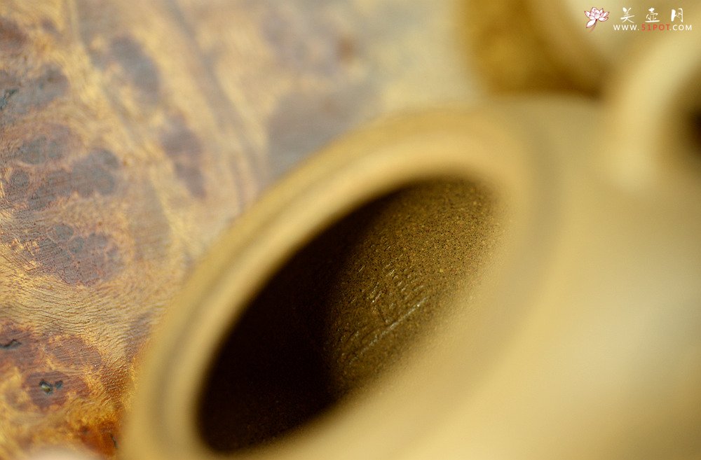 紫砂壶图片：陈进作品  圆润饱满 实用有趣 全手圆珠 - 宜兴紫砂壶网