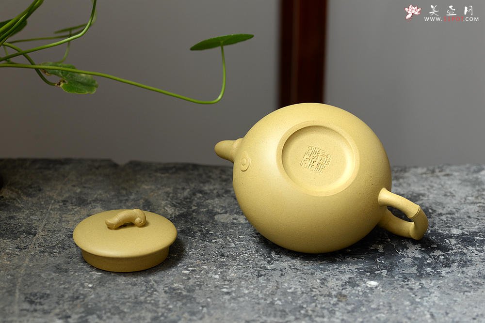 紫砂壶图片：单志萍作品 造型新颖 优雅之作 原矿段泥 云竹 - 宜兴紫砂壶网