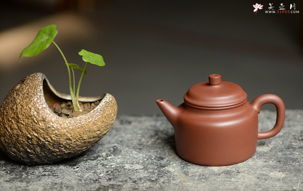 紫砂壶图片：美壶特惠 俞欣荣新作 挺拔俊秀 优质底槽青之高德中 实用精品 - 宜兴紫砂壶网