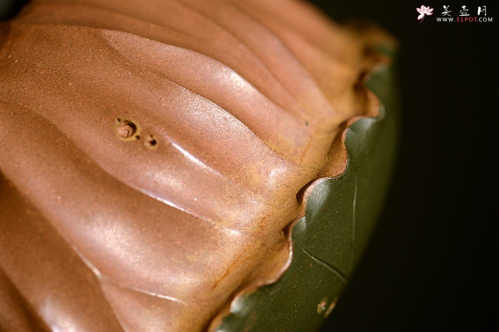 紫砂壶图片：文气十足 意境深远 秋日残荷 孙伟强张新亚合作 - 宜兴紫砂壶网