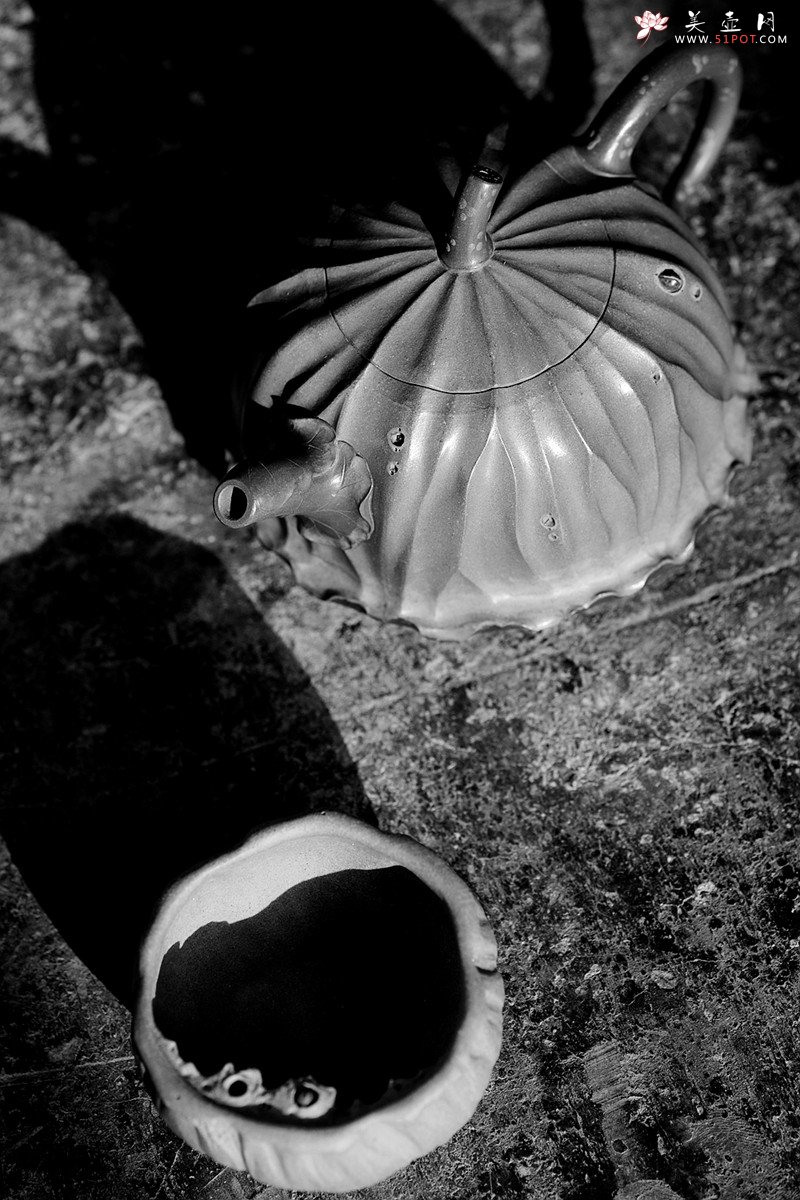 紫砂壶图片：文气十足 意境深远 秋日残荷 孙伟强张新亚合作 - 宜兴紫砂壶网