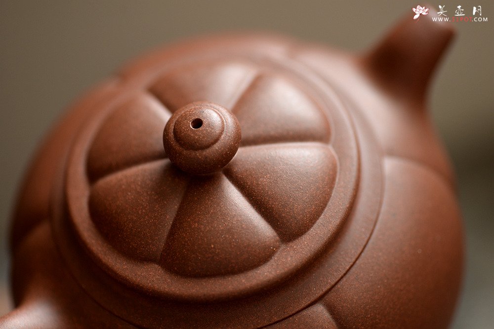 紫砂壶图片：徐亚春老师新作 身桶饱满 明针优秀~筋纹 六合 - 宜兴紫砂壶网
