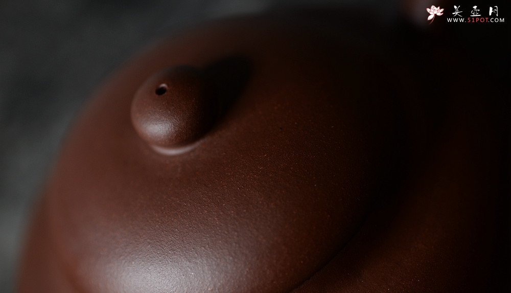 紫砂壶图片：张智耀新作 饱满敦厚 传统实用 全手圆乐 - 宜兴紫砂壶网