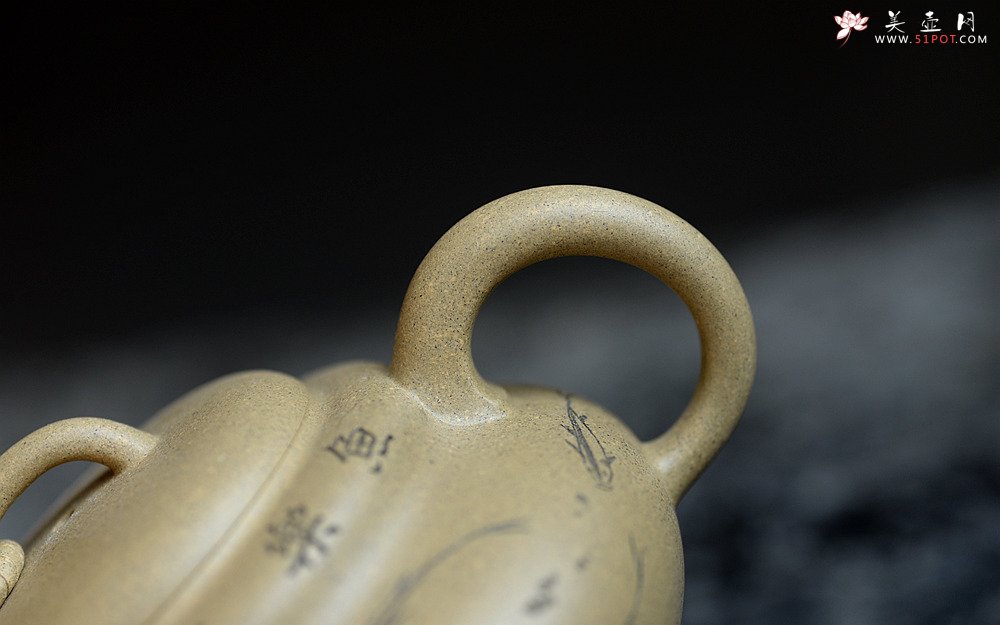 紫砂壶图片：鱼乐人亦乐,泉清心共清 全手葫芦 - 宜兴紫砂壶网