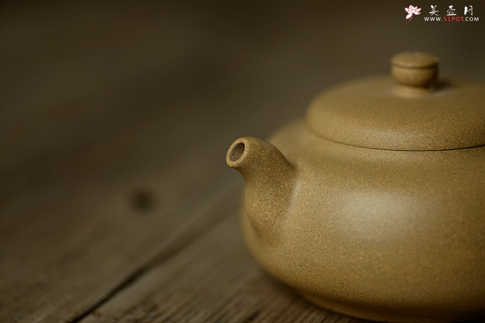 紫砂壶图片：美壶特惠 温文尔雅  融古二式 - 宜兴紫砂壶网