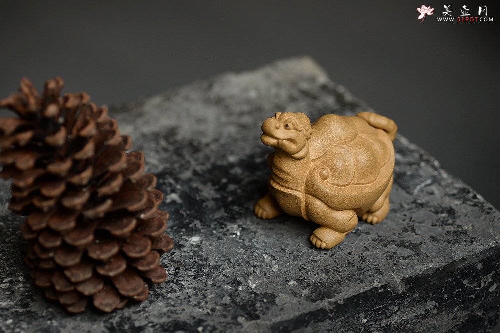 紫砂壶图片：优质段泥 做工精致 龙龟茶宠 - 宜兴紫砂壶网