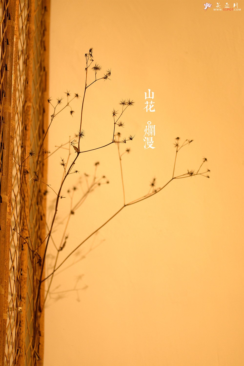 紫砂壶图片：手工雕塑 抓型学院派~ 修善罗汉 - 宜兴紫砂壶网