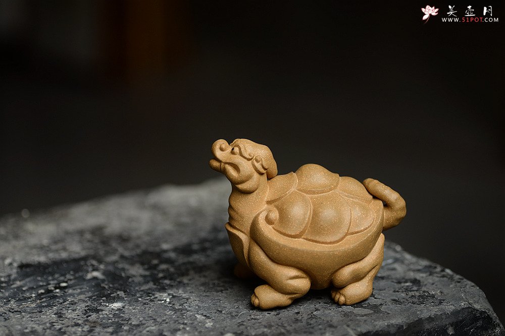 紫砂壶图片：优质段泥 做工精致 龙龟茶宠 - 宜兴紫砂壶网