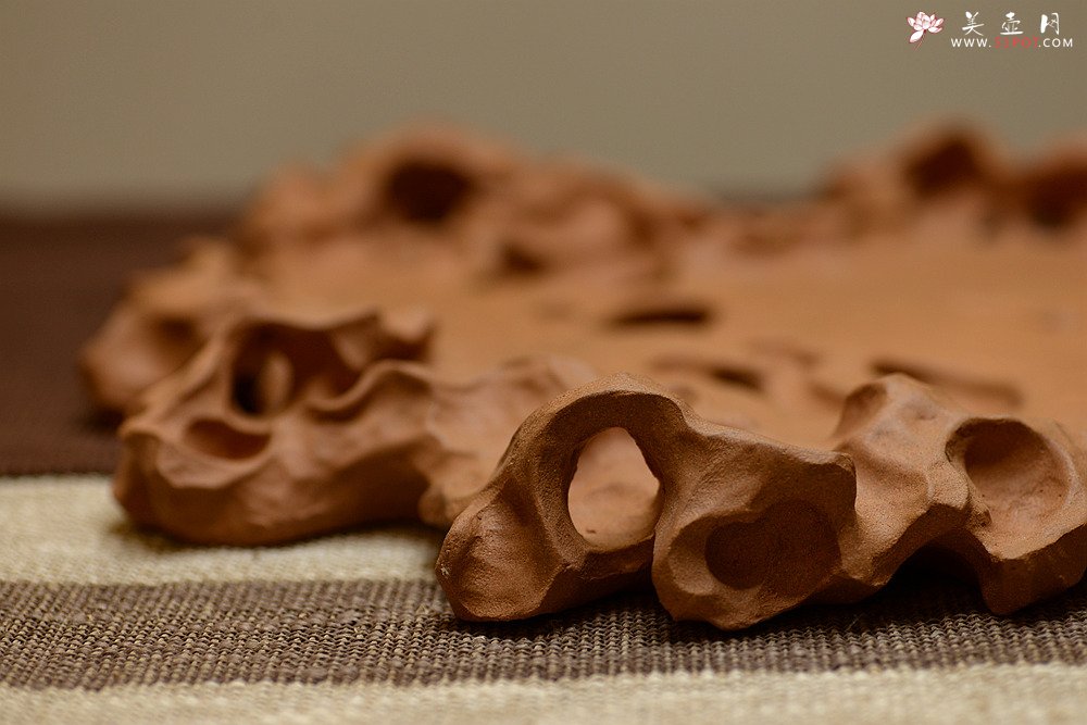 紫砂壶图片：学院派风格~非常好玩的作品~ 全手工太湖石干泡台 - 宜兴紫砂壶网