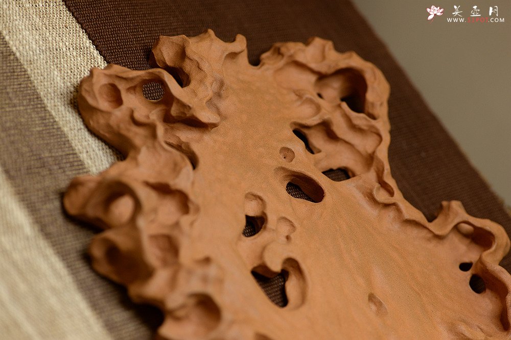 紫砂壶图片：学院派风格~非常好玩的作品~ 全手工太湖石干泡台 - 宜兴紫砂壶网