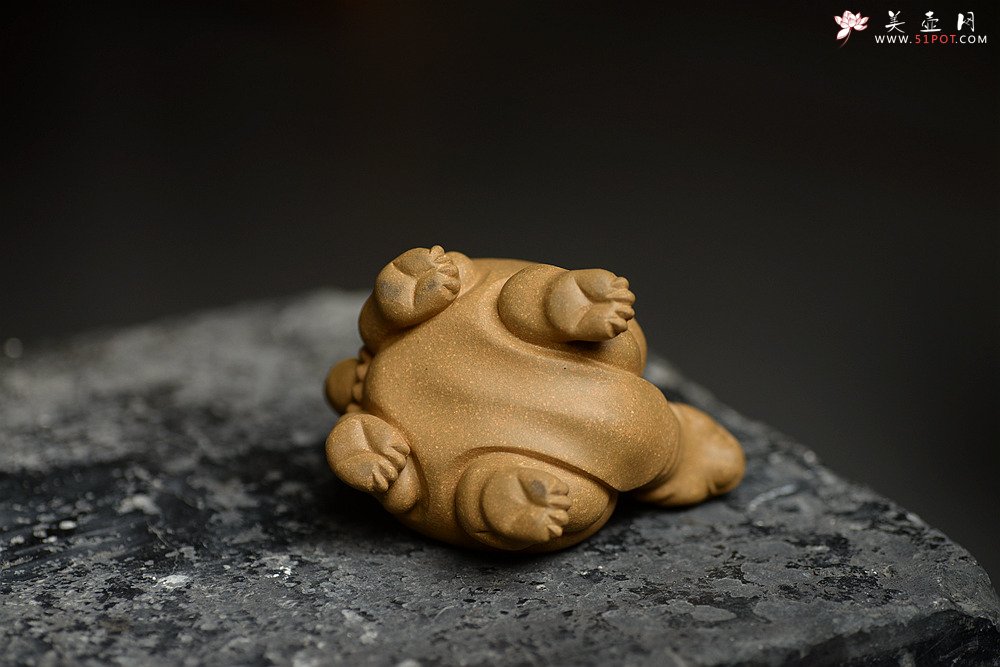 紫砂壶图片：优质段泥 做工精致 龙龟茶宠 - 宜兴紫砂壶网