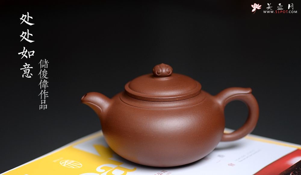 紫砂壶图片：精工实力派储俊伟代表作 厚雅飘逸 经典实用 全手小处处如意 - 宜兴紫砂壶网