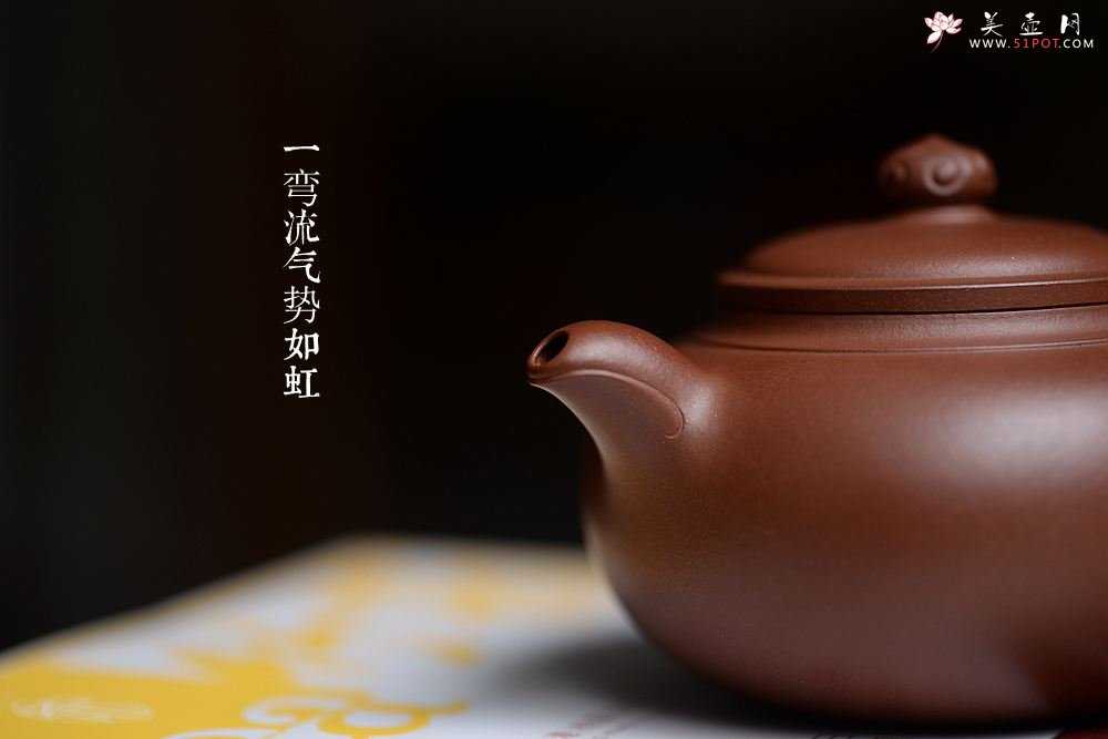 紫砂壶图片：精工实力派储俊伟代表作 厚雅飘逸 经典实用 全手小处处如意 - 宜兴紫砂壶网