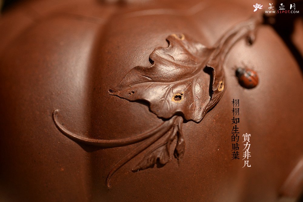 紫砂壶图片：花货奇才顾正芳新作 灵韵秀雅 全手南瓜 田园丰韵~ - 宜兴紫砂壶网