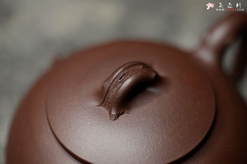 紫砂壶图片：高雪琴新作 线条流畅 端庄秀美 新意花器 全手冬韵 - 宜兴紫砂壶网