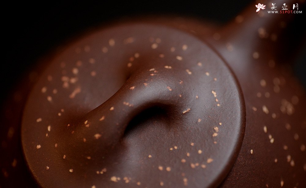 紫砂壶图片： 星光璀璨o(∩_∩)o  铺砂全手景舟石瓢 饱满大气 - 宜兴紫砂壶网