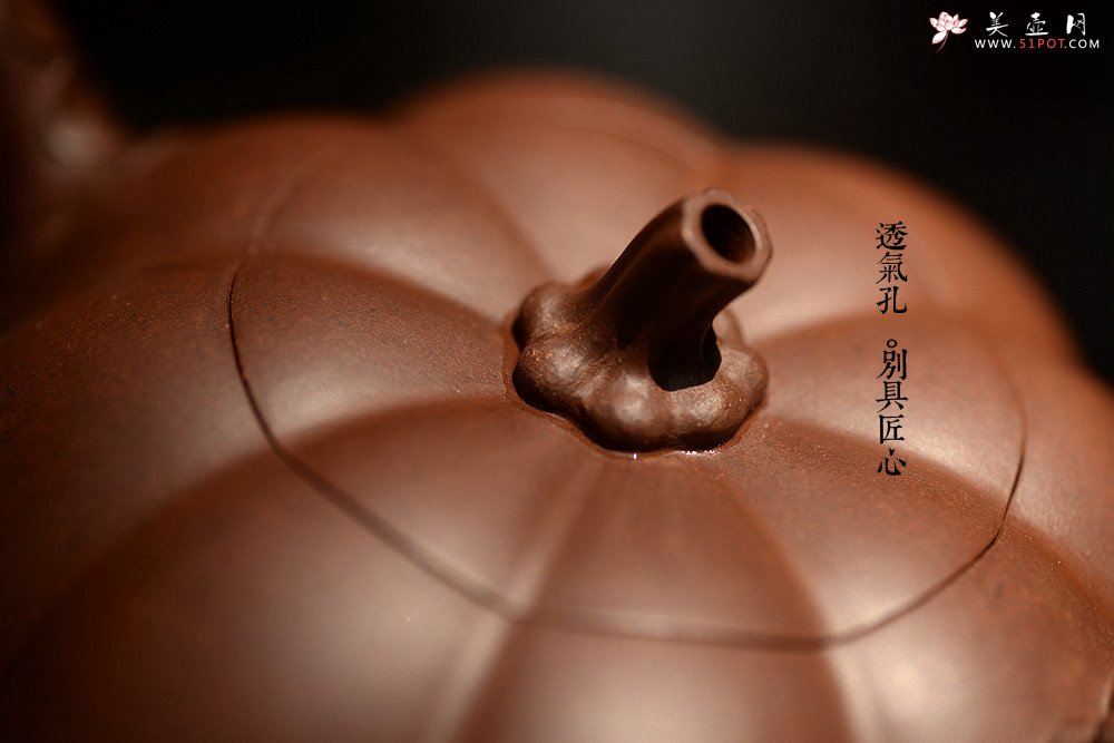 紫砂壶图片：花货奇才顾正芳新作 灵韵秀雅 全手南瓜 田园丰韵~ - 宜兴紫砂壶网