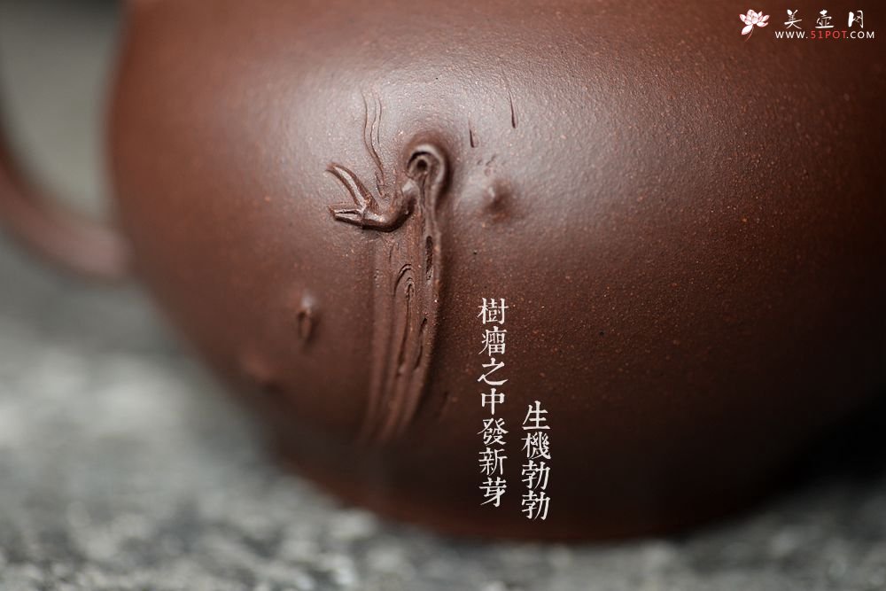 紫砂壶图片：高雪琴新作 线条流畅 端庄秀美 新意花器 全手冬韵 - 宜兴紫砂壶网