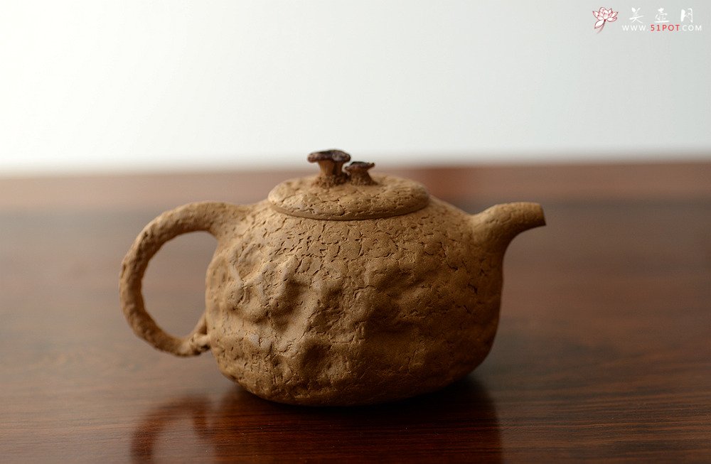 紫砂壶图片：全手薄胎灵芝瓜纽龚春 古朴之味 自然生动 - 宜兴紫砂壶网