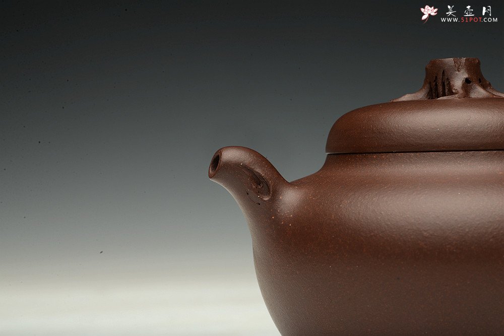 紫砂壶图片：高雪琴全手新作 敦厚悠然 简意花货~ 秋色 做工精致 - 宜兴紫砂壶网