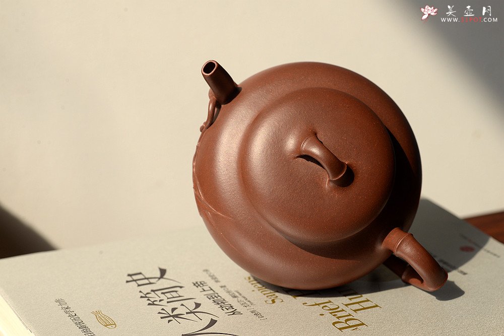 紫砂壶图片：潘丹初原创‘秀气’系列之春竹 纯净底槽青  婉约清秀 行简意足 - 宜兴紫砂壶网