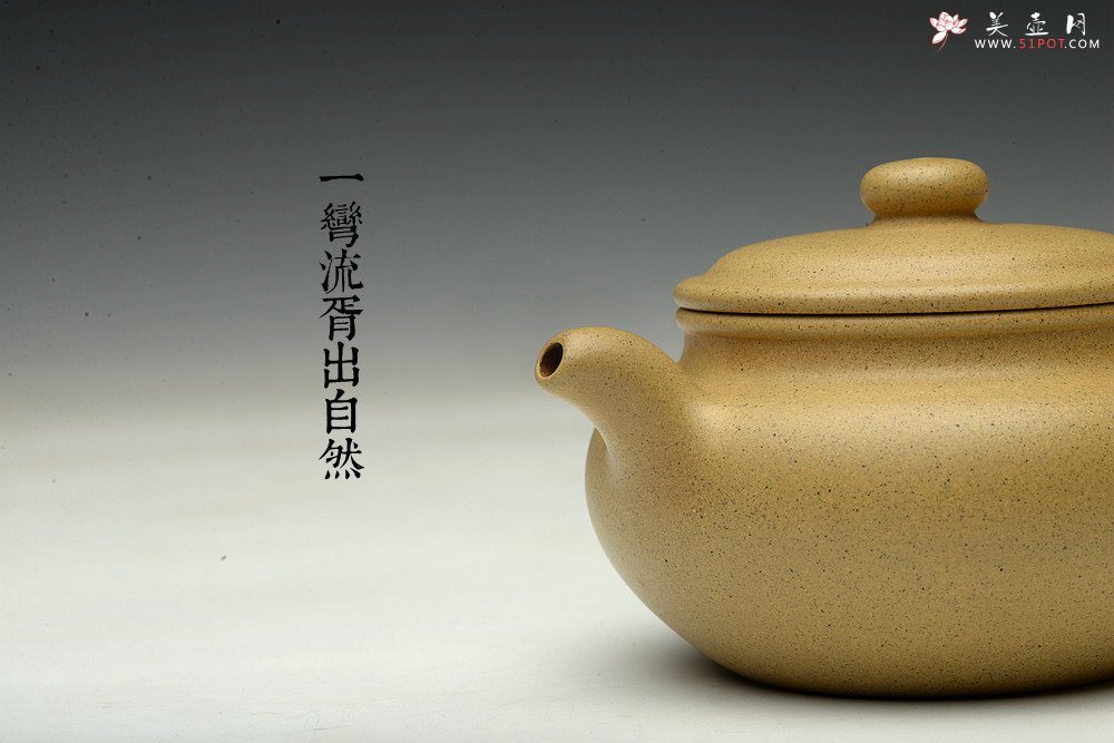 紫砂壶图片：诱人o(∩_∩)o 黄龙山本山绿泥 全手小仿古 传统精品 素雅 - 宜兴紫砂壶网