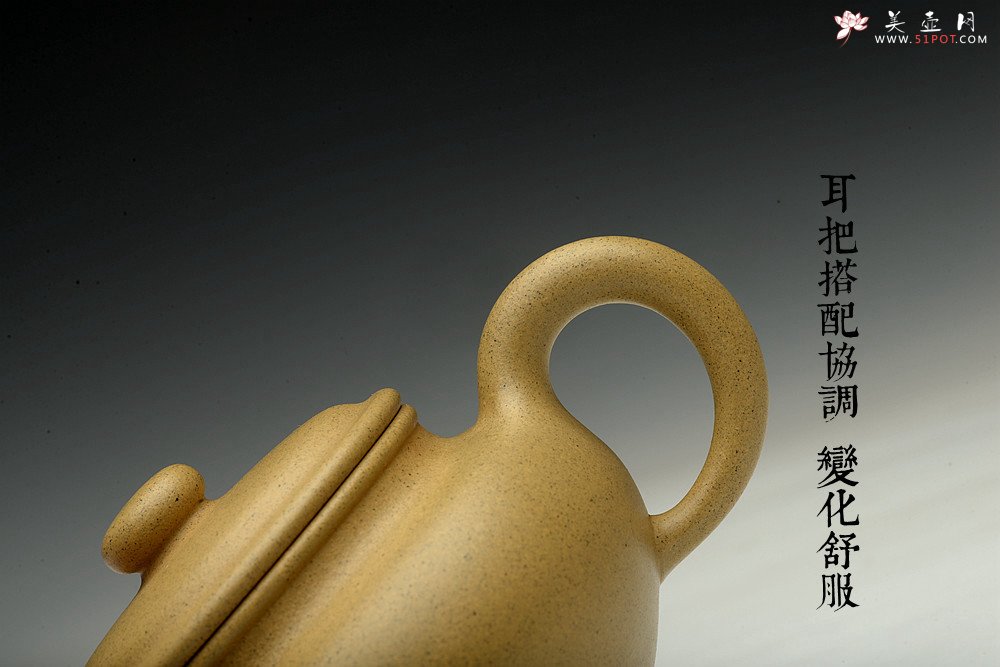 紫砂壶图片：诱人o(∩_∩)o 黄龙山本山绿泥 全手小仿古 传统精品 素雅 - 宜兴紫砂壶网