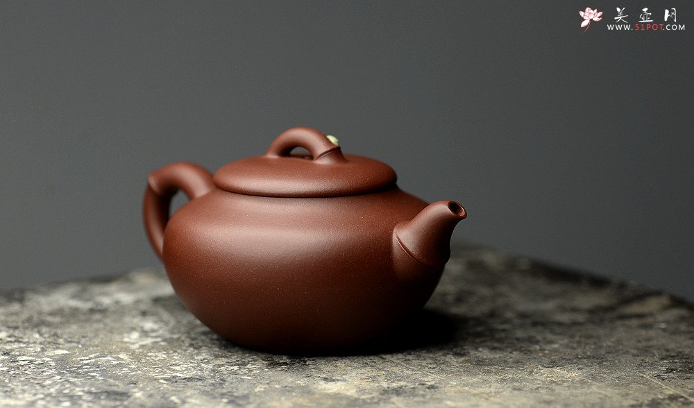 紫砂壶图片：曲峰乙末年经典器形 端庄秀气 春竹壶 耐品 - 宜兴紫砂壶网