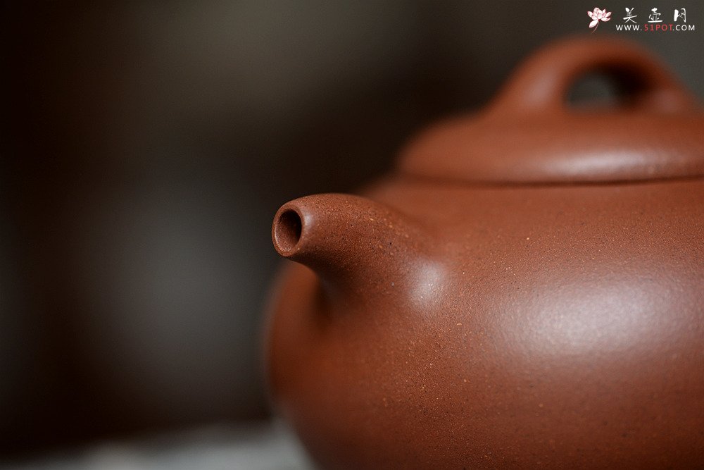 紫砂壶图片：施梦佳全手新作 舒展温润 扁而不僵 过桥扁腹 - 宜兴紫砂壶网