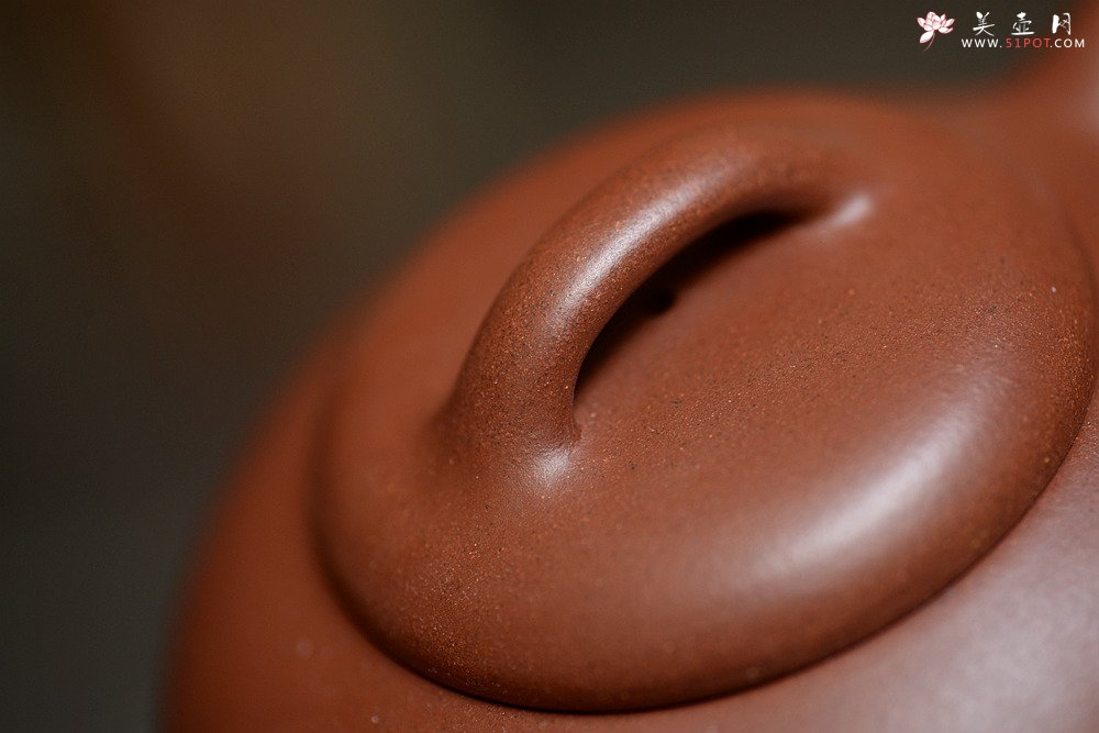 紫砂壶图片：施梦佳全手新作 舒展温润 扁而不僵 过桥扁腹 - 宜兴紫砂壶网