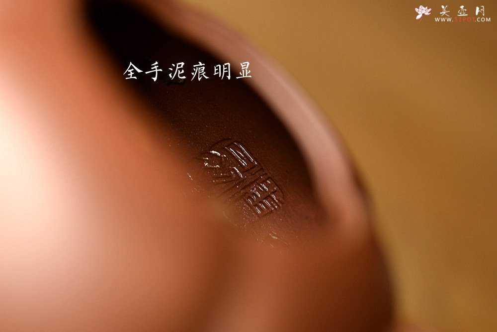 紫砂壶图片：潘丹初乙未年精进之作  筋囊花货 全手玉柿 气度饱满逸品  值得赏玩珍藏 - 宜兴紫砂壶网