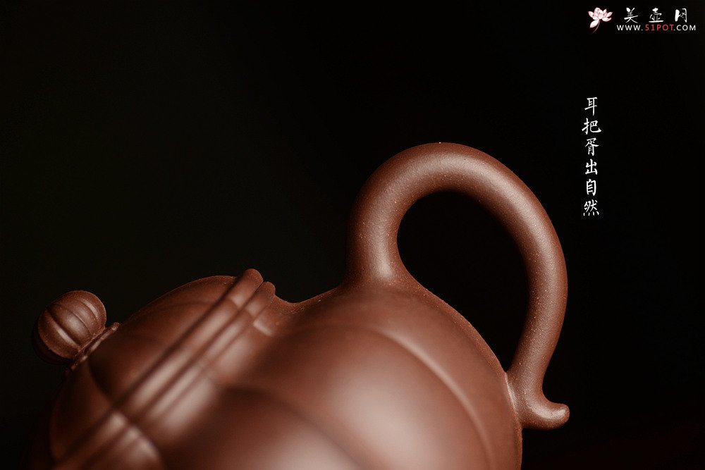 紫砂壶图片：方圆堂实力派 许嘉年精品代表作 菱花莲子 仙花若现 全手精工之作 - 宜兴紫砂壶网