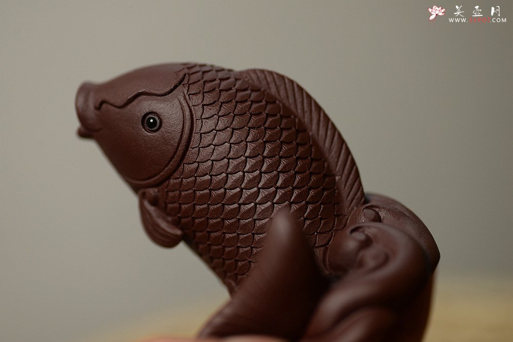 紫砂壶图片：紫砂摆件 做工精致 栩栩如生 鲤鱼~金蟾 - 宜兴紫砂壶网