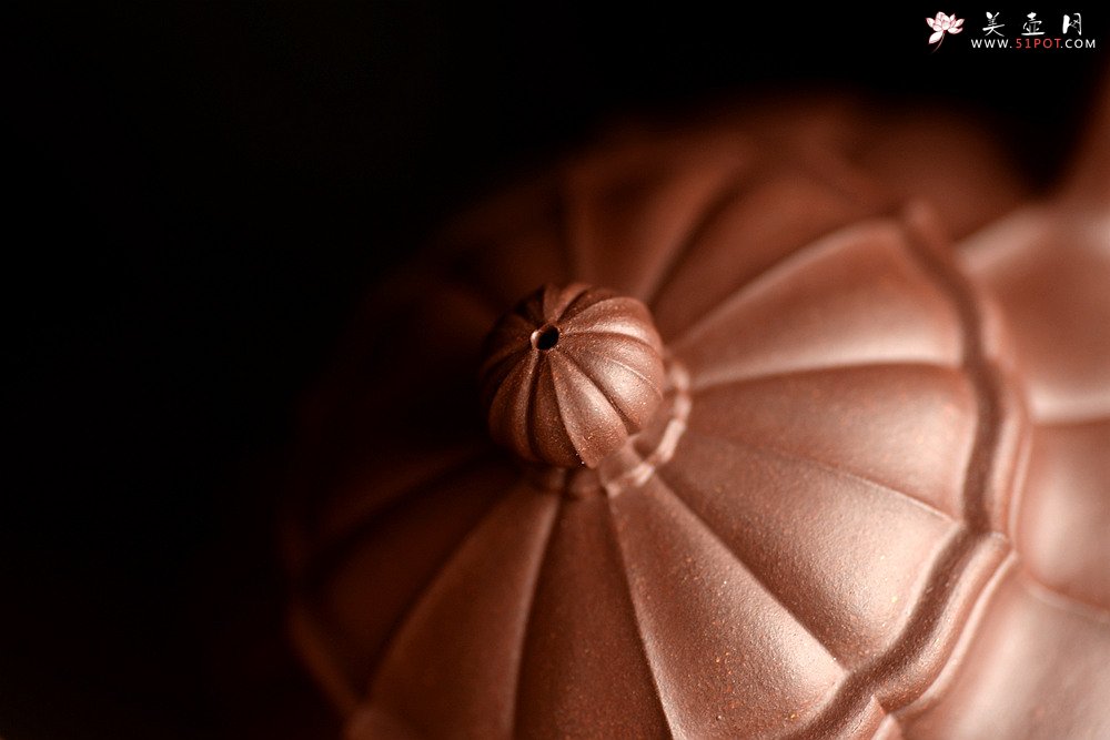 紫砂壶图片：方圆堂实力派 许嘉年精品代表作 菱花莲子 仙花若现 全手精工之作 - 宜兴紫砂壶网