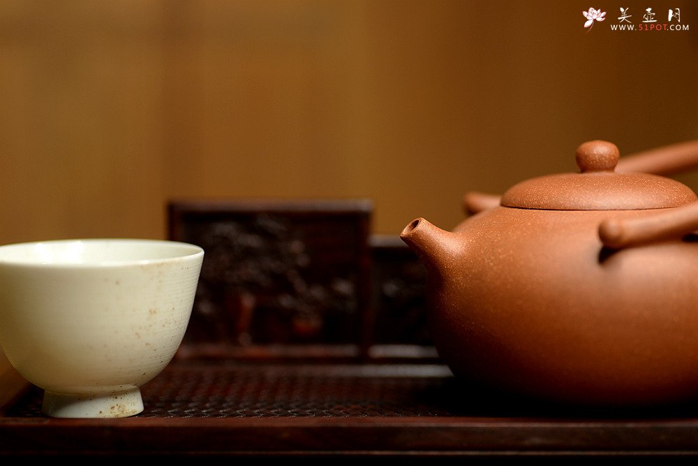 紫砂壶图片：潘小东新品 全手明韵 造型新颖 原矿老段泥 - 宜兴紫砂壶网