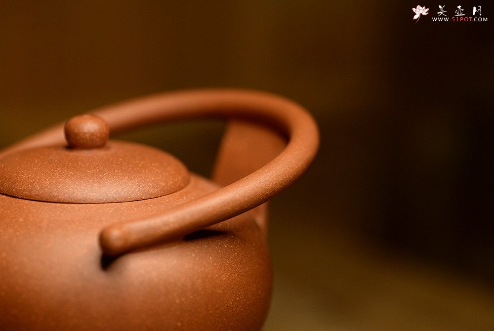 紫砂壶图片：潘小东新品 全手明韵 造型新颖 原矿老段泥 - 宜兴紫砂壶网