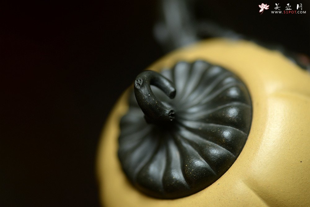 紫砂壶图片：原创作品 本段小金瓜 灵巧曼妙 夏日利器 孙伟强张新亚合作 - 宜兴紫砂壶网