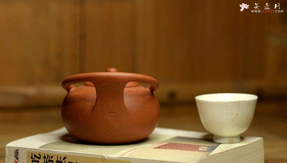 紫砂壶图片：潘小东新品 全手明韵 造型新颖 原矿老段泥 - 宜兴紫砂壶网