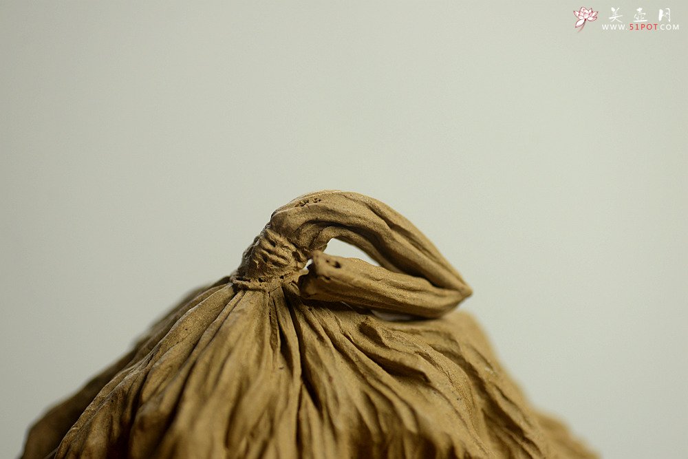 紫砂壶图片：刘秀作品 文雅茶宠 全手工精制 大莲蓬 - 宜兴紫砂壶网