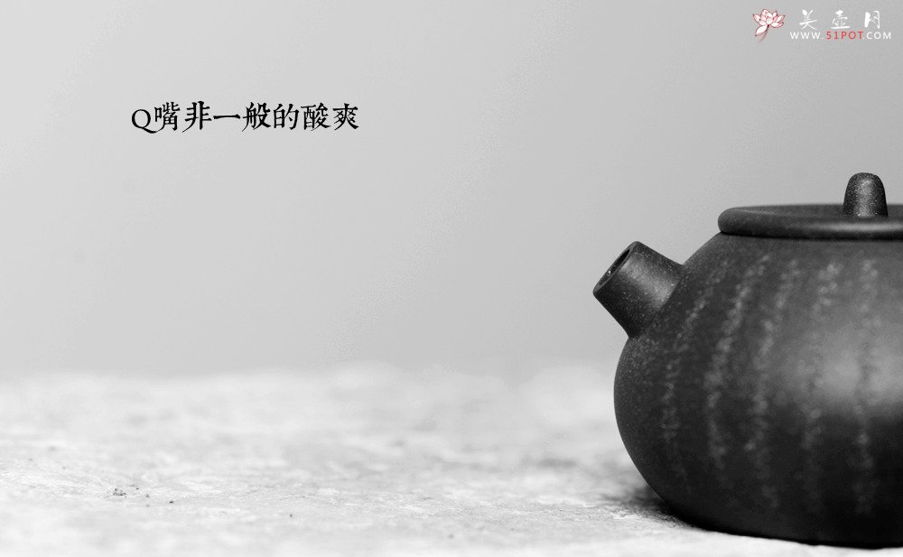 紫砂壶图片：美壶特惠 心经小巨轮 拙朴之风 杀茶利器 茶人最爱 - 宜兴紫砂壶网