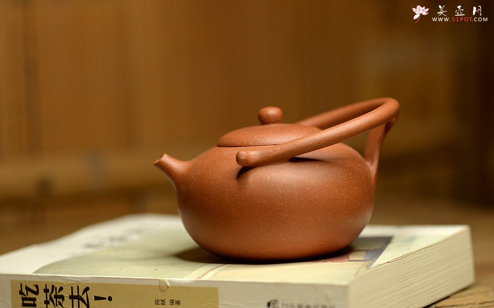 紫砂壶图片：潘小东新品 全手明韵 造型新颖 原矿老段泥 - 宜兴紫砂壶网