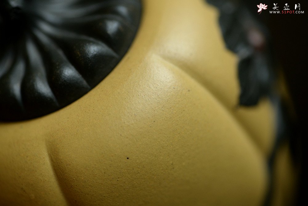 紫砂壶图片：原创作品 本段小金瓜 灵巧曼妙 夏日利器 孙伟强张新亚合作 - 宜兴紫砂壶网