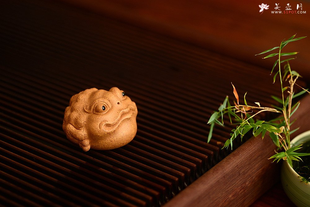 紫砂壶图片：李爱民精致茶宠 聚宝蟾 神态逼真 生动传神 招财纳福  - 宜兴紫砂壶网