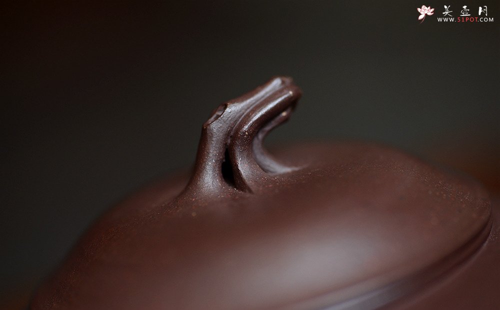 紫砂壶图片：高雪琴全手新作 做工精致 构思精妙别有风味 春韵壶 - 宜兴紫砂壶网