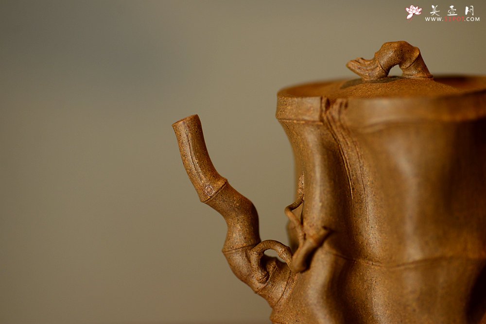 紫砂壶图片：林秀明原创作品 全手竹影~ 文气十足 崇尚自然~ - 宜兴紫砂壶网